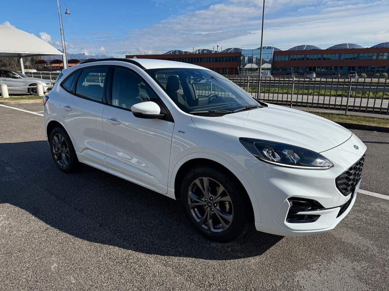 Ford Kuga St-Line 1.5 EcoBlue 120CV Automatica S&S