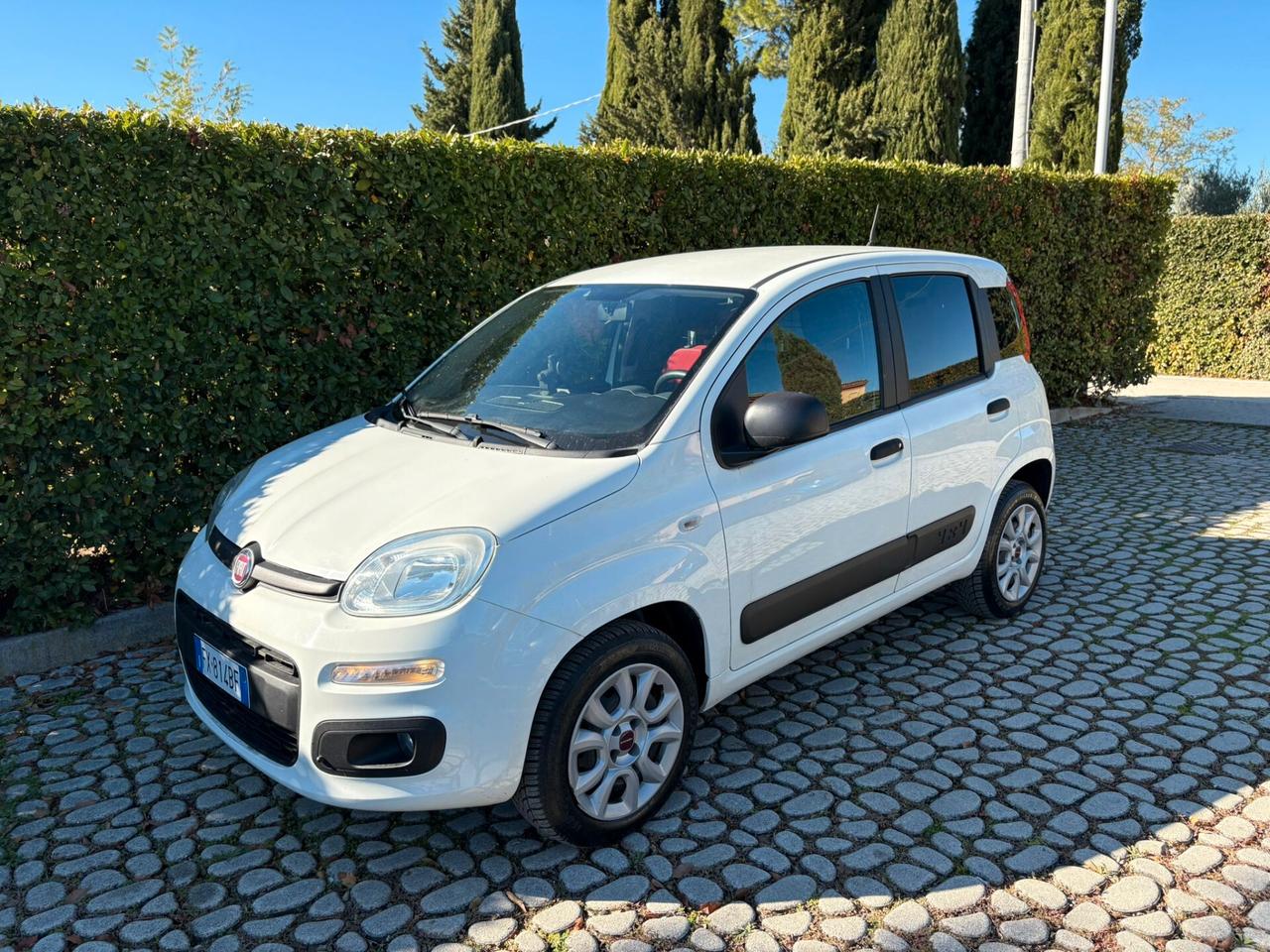FIAT Panda 0.9Turbo S&S 4x4 Eld Pop N1 Van - 2019