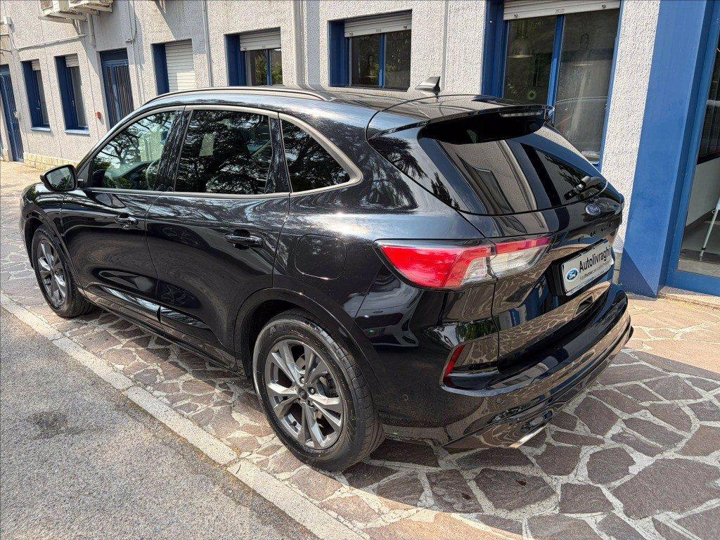 FORD Kuga 2.0 ecoblue ST-Line X 2wd 120cv auto del 2023