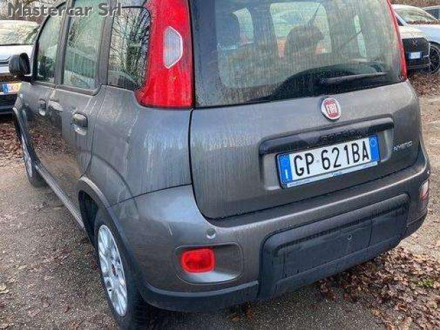 FIAT Panda Panda III 2021 1.0 firefly hybrid tg : GP621BA