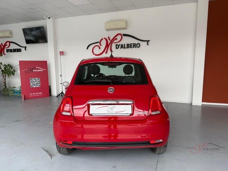 FIAT 500 Hybrid 1.0 70cv Ibrido