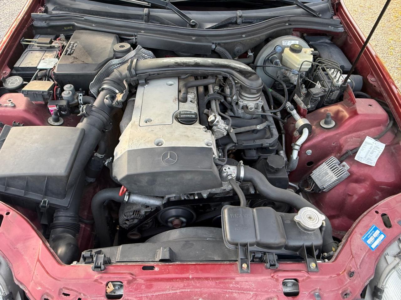 Mercedes-benz SLK 200 cat