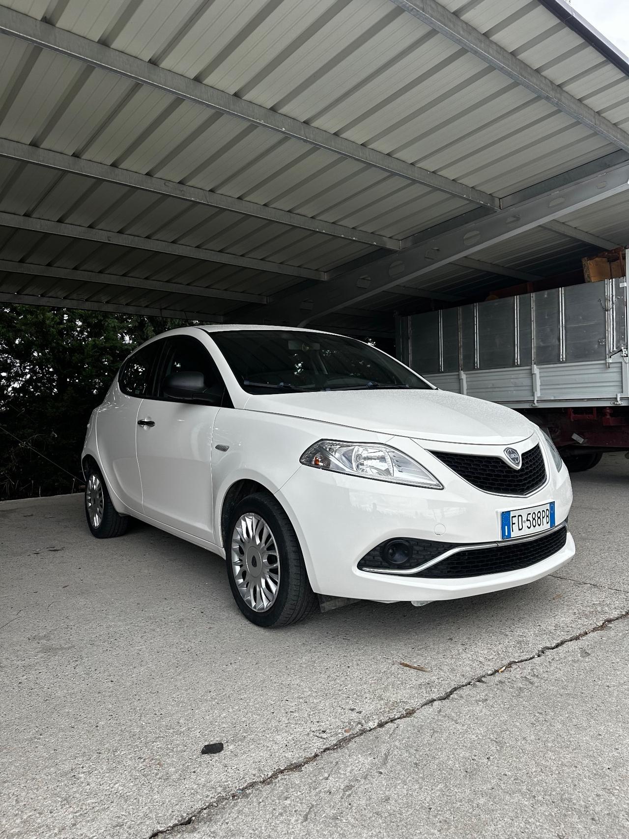 Lancia Ypsilon 1.3 MJT 16V 95 CV 5 porte S&S Gold