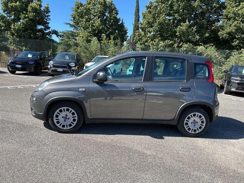 FIAT Panda New My23 1.0 70cv Hybrid Panda