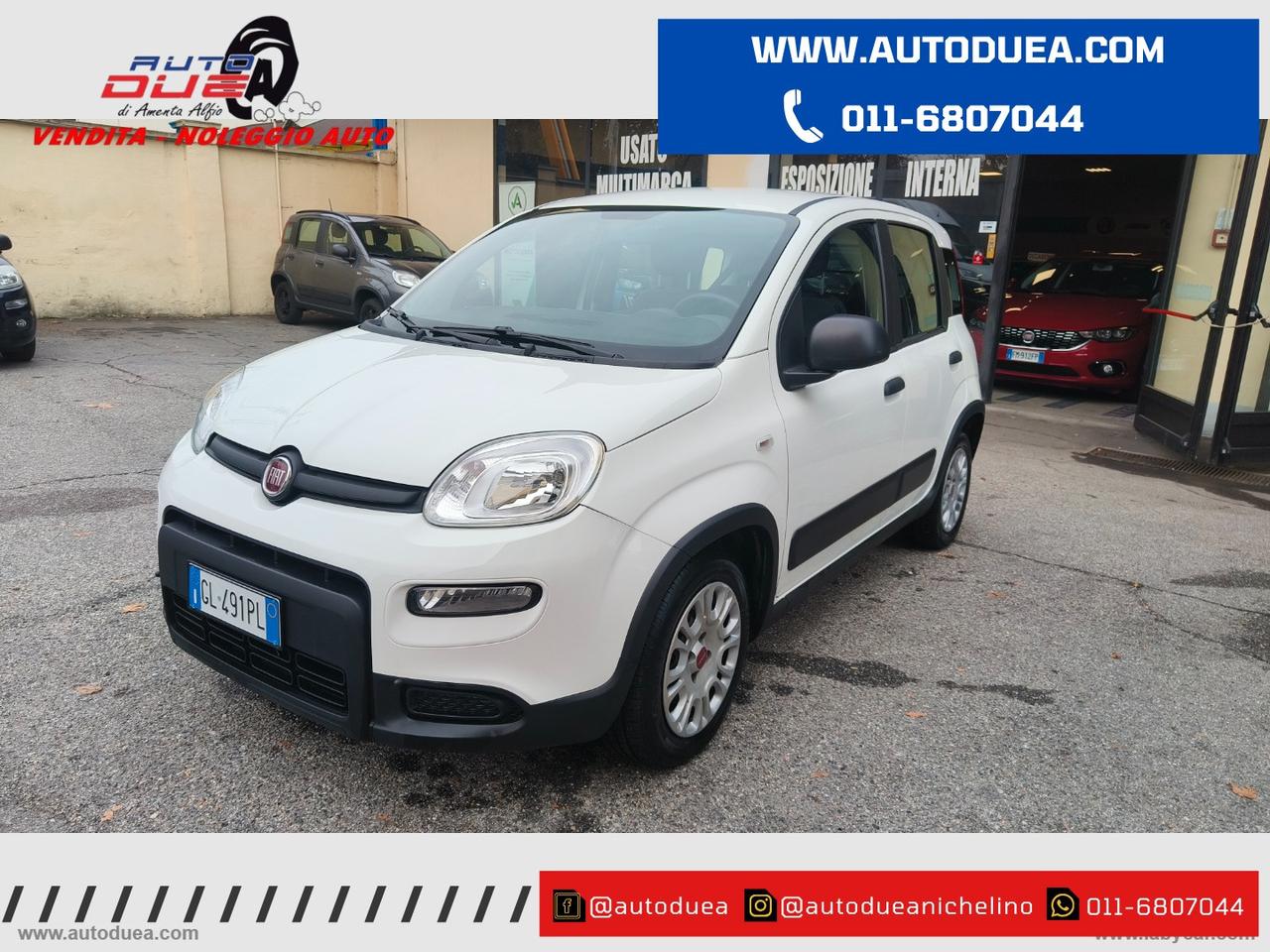 FIAT Panda 1.0 FireFly S&S Hybrid NO VINCOLI FINANZIARI