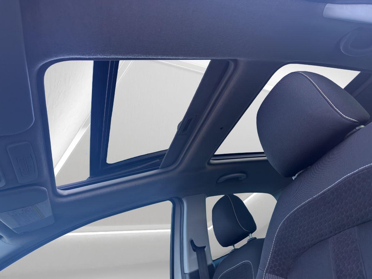 FIAT - Punto Evo - 1.6 Mjt 120cv DPF 3p. Sport TETTO