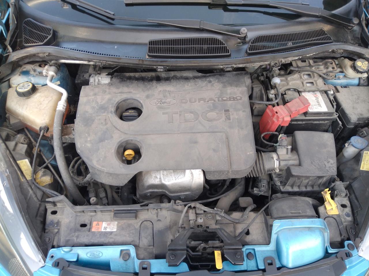 Ford Fiesta 1.4 TDCi 70CV 5 porte Titanium x neopatentati