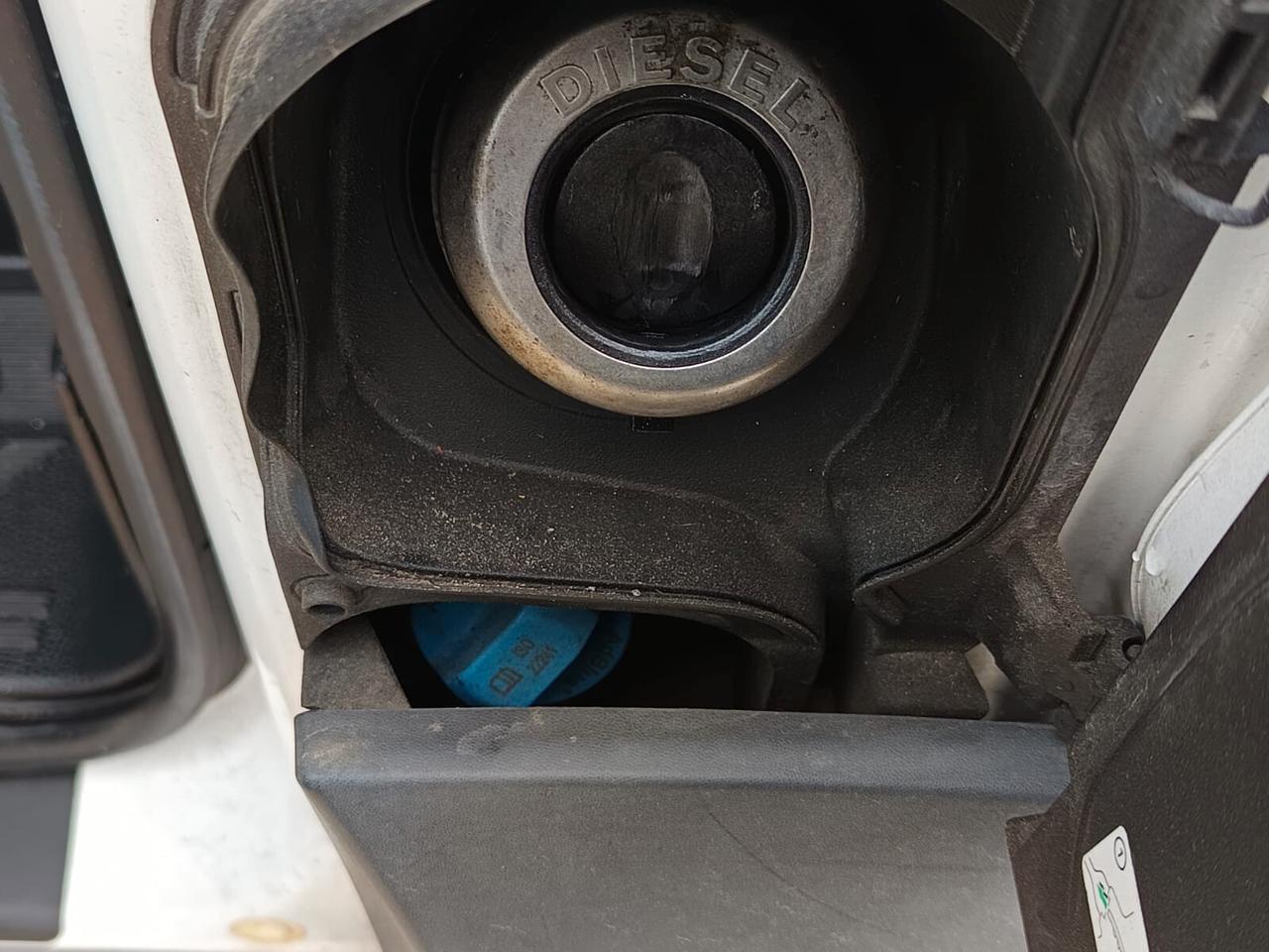 Ford transit frigo 2019 - 2.0tdci Lb automobili