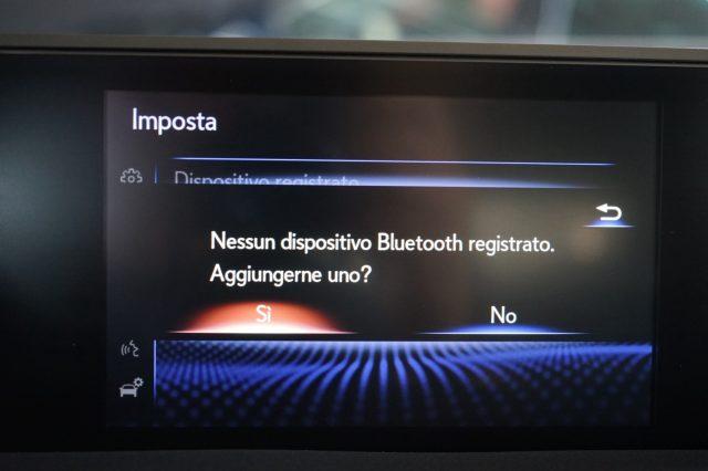 LEXUS UX 250h Business FULL HYBRID CERTIFICATA PARI AL NUOVO