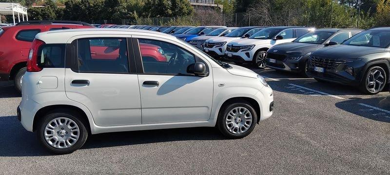 FIAT Panda III 2024 1.0 firefly hybrid s&s 70cv 5p.ti