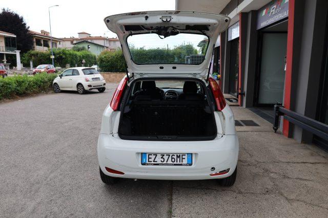 FIAT Punto 1.2 8V 3 porte Street NEOPATENTATI