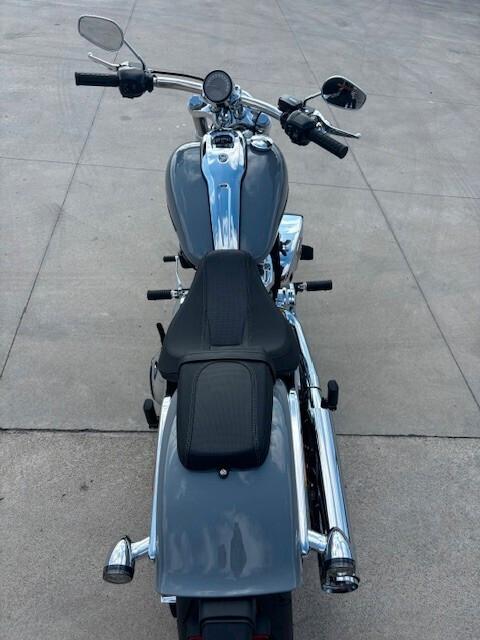 Harley-davidson Softail Breakout - 2026