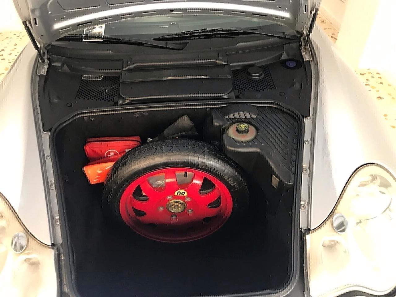 Porsche 911 Targa cat