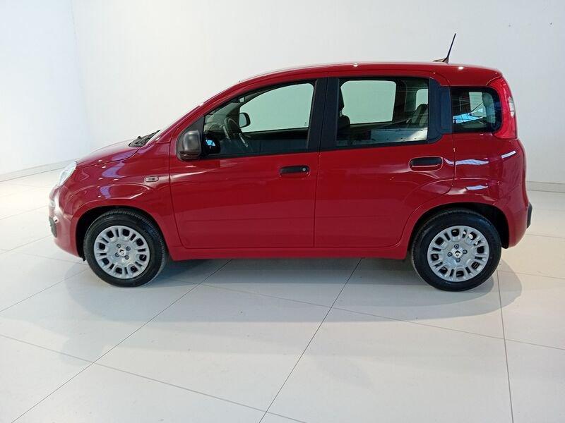 FIAT Panda Panda 1.0 FireFly S&S Hybrid