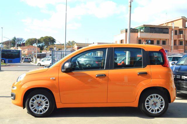 FIAT Panda 1.0 FireFly S&S Hybrid 70 CV