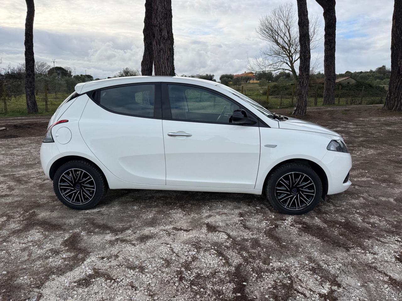 Lancia Ypsilon 1.0 FireFly 5 porte S&S Hybrid Ecochic Gold