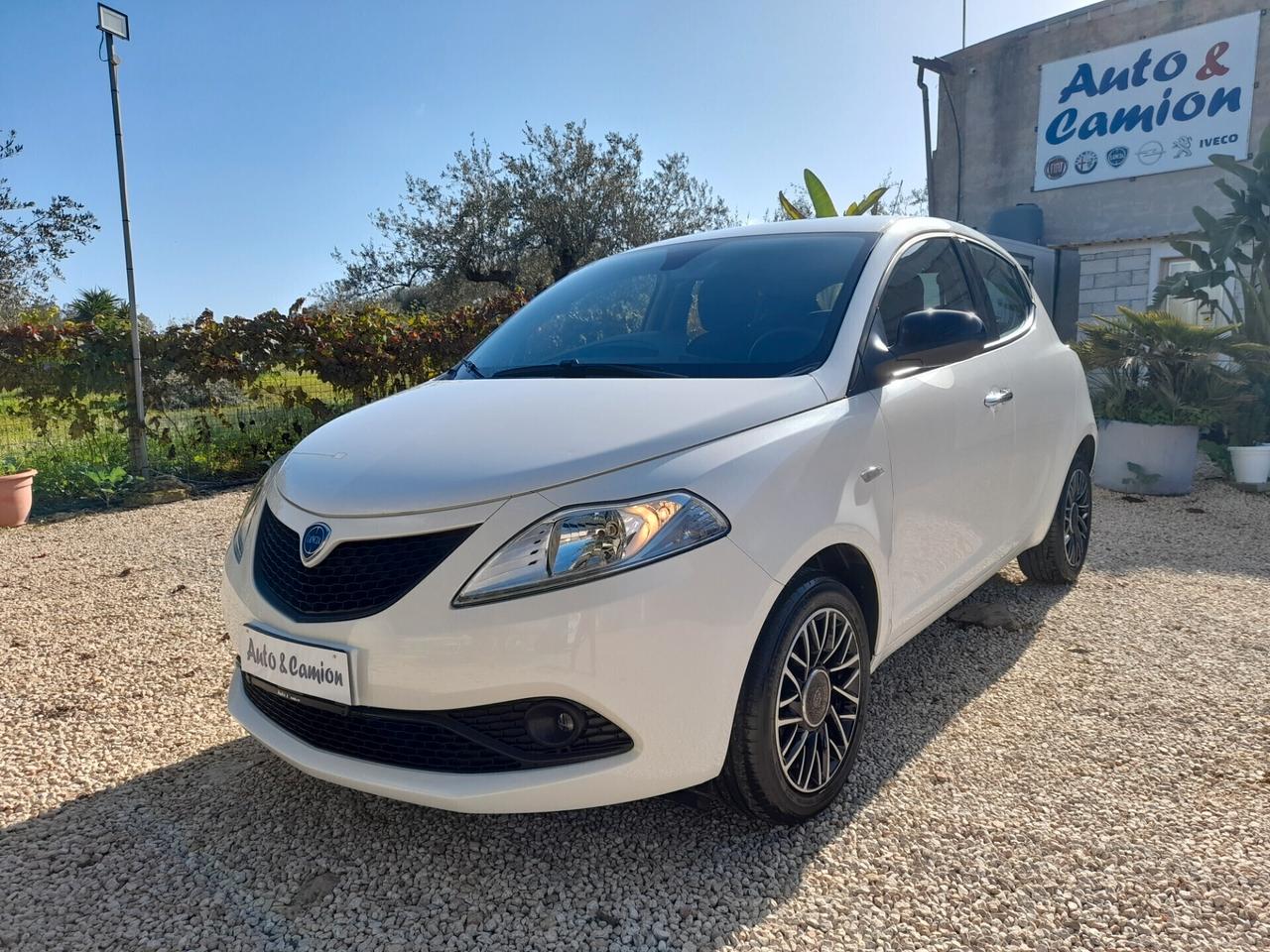 Lancia Ypsilon 1.2 69 CV Gold 2019 neopatentati ok