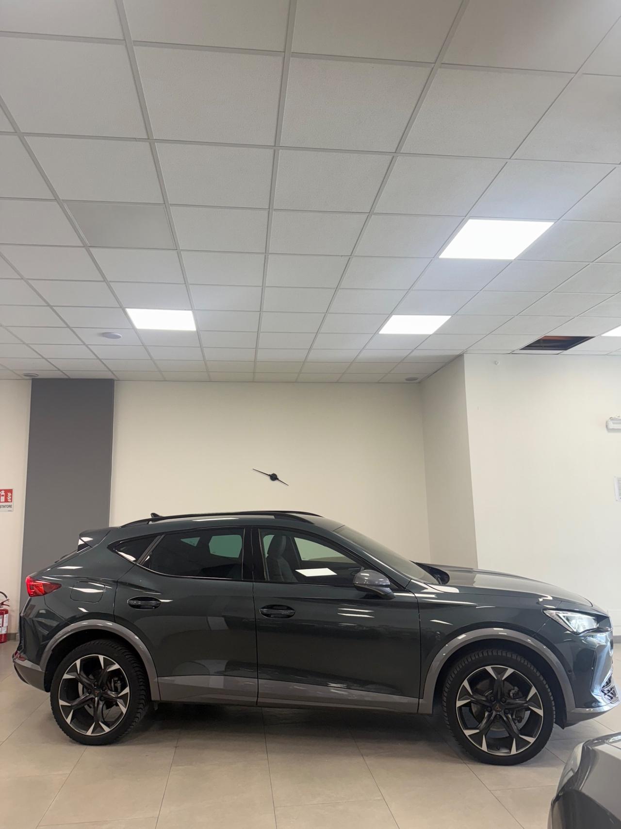 Cupra Formentor 2.0 TDI 4Drive DSG