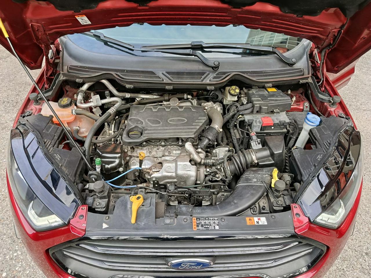 Ford EcoSport ST Line 1.5 TDCi #9754