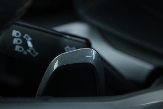 SEAT Leon CUPRA Leon 2.0 TDI 150 CV DSG