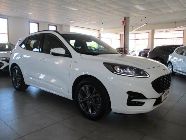 Ford Kuga 1.5 EcoBlue 120 CV aut. 2WD ST-Line