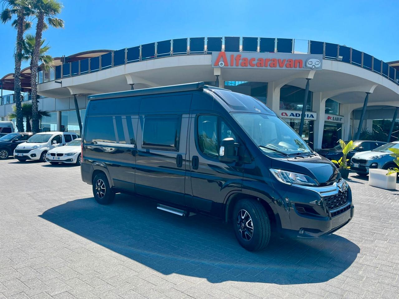 Approfitta su Carado CV 600-Km 0