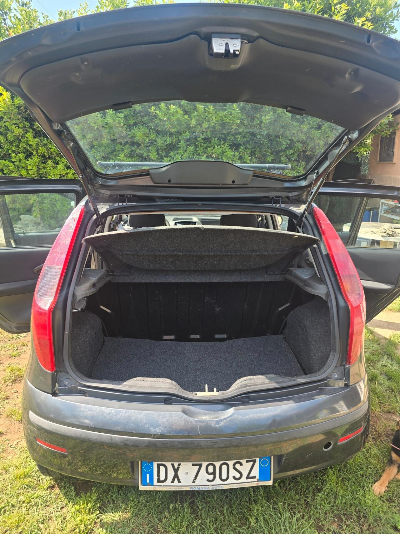 Fiat Punto Classic 1.2 5 porte Active GPL Unico Propietario Certificato