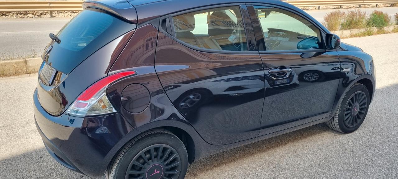 Lancia Ypsilon 1.2 69 CV 5 porte Elefantino