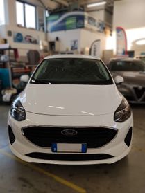 Ford Fiesta 1.0 EcoBoost Hybrid 125 CV 3 porte Van Trend