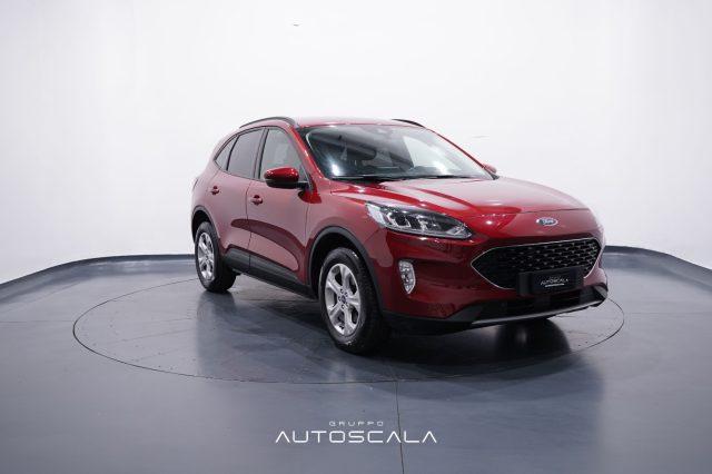 FORD Kuga 1.5 EcoBlue 120 CV 2WD Connect