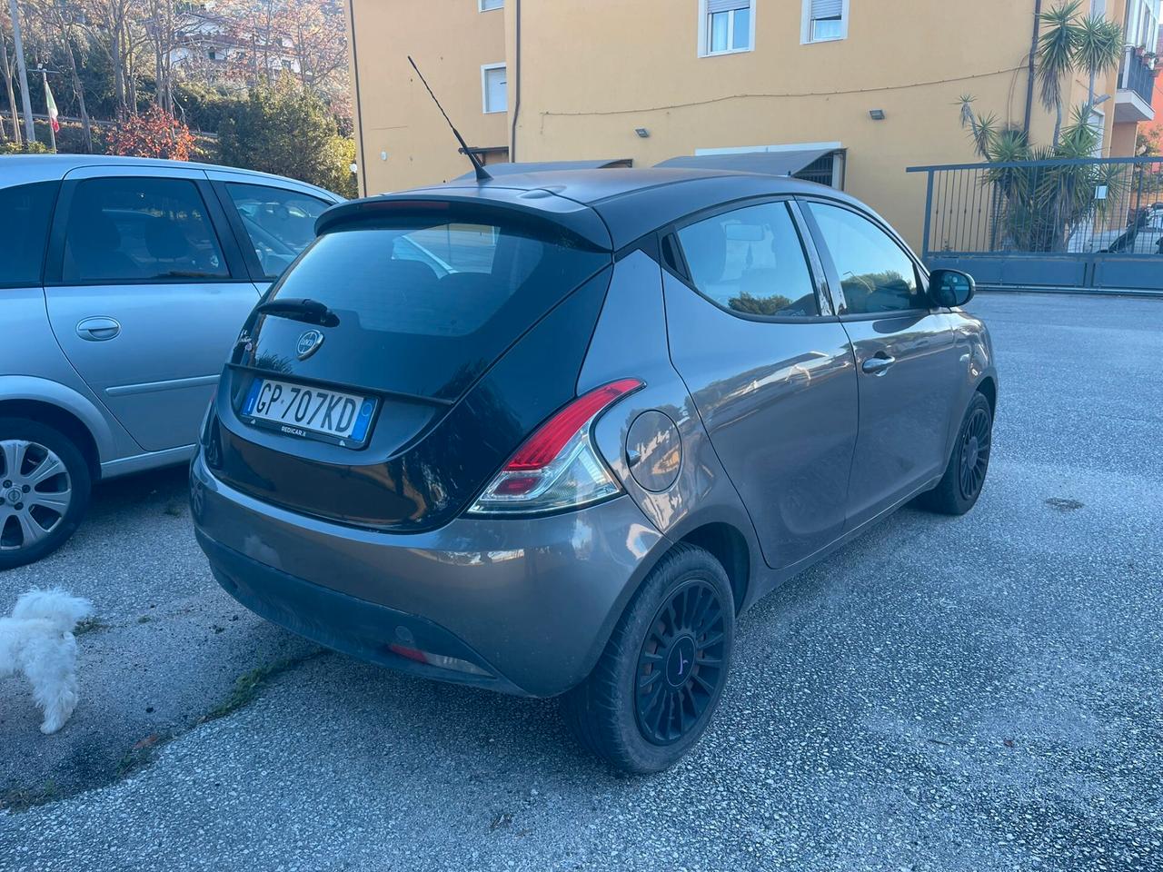 Lancia Ypsilon 1.2 69 CV 5 porte GPL Ecochic Elefantino