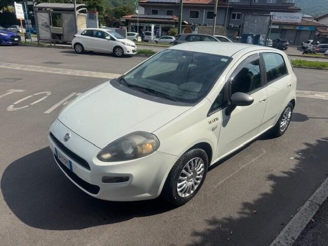 FIAT Punto 4ª serie Punto 1.2 8V 5 porte Young