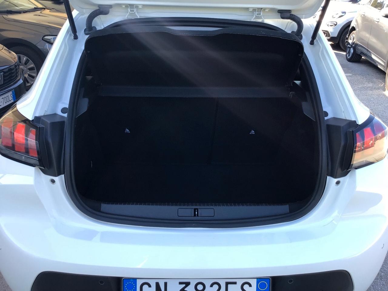 Peugeot 208 BlueHDi 100 Cv 5 porte Active