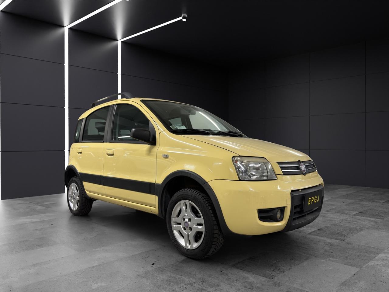 Fiat Panda 1.2 Climbing Natural Power