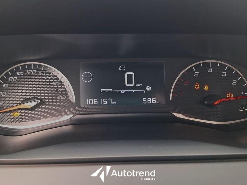 Peugeot 208 BlueHDi 100 CV Active Pack S&S 5 Porte