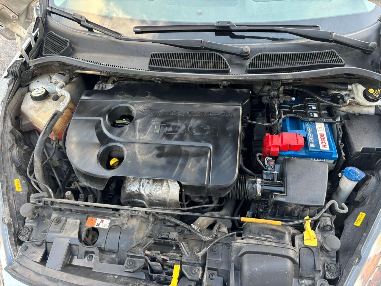 Ford Fiesta 1.5 TDCi 75CV 5 porte Black & White Edition