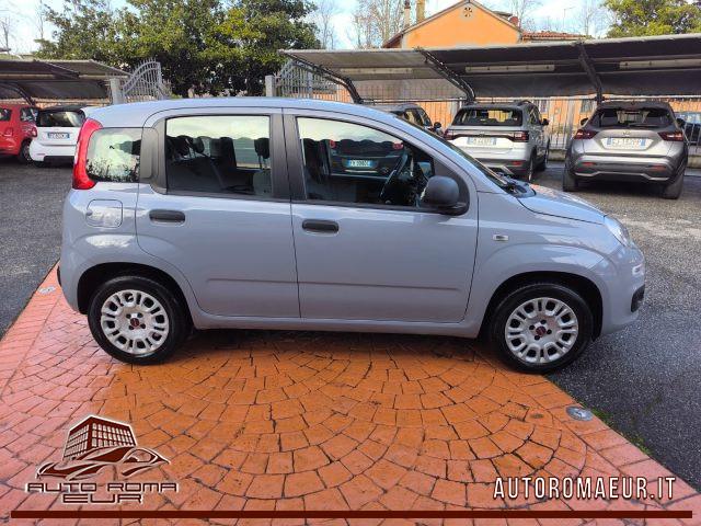 FIAT Panda 1.2 Easy TAGLIANDO+DISTIBUZIONE OK! GOMMATA!