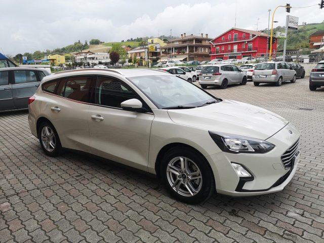 FORD Focus 1.5 EcoBlue 120 CV automatico SW Business Co-Pilot
