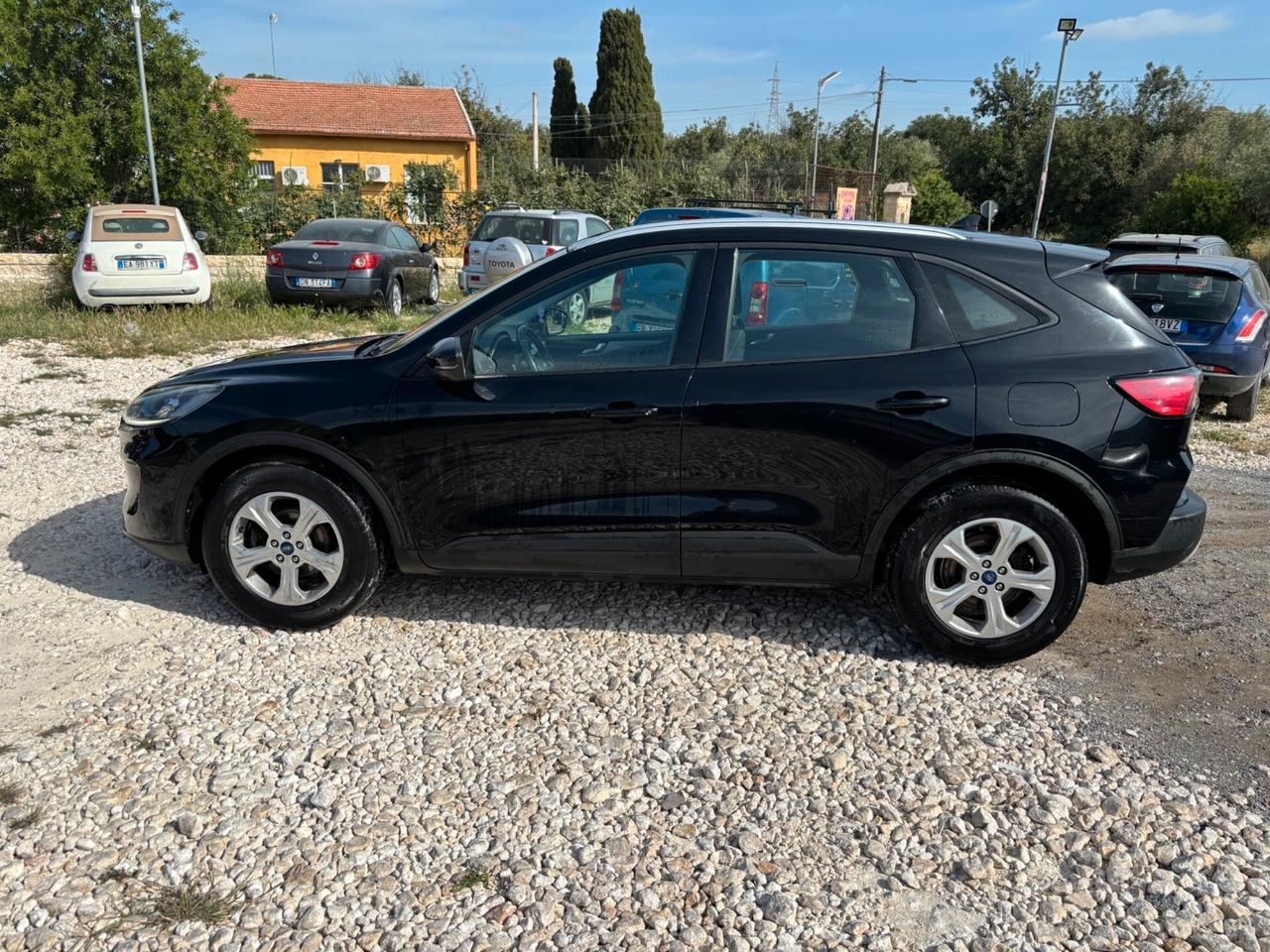 Ford Kuga 1.5 EcoBlue 120 CV aut. 2WD ST-Line X