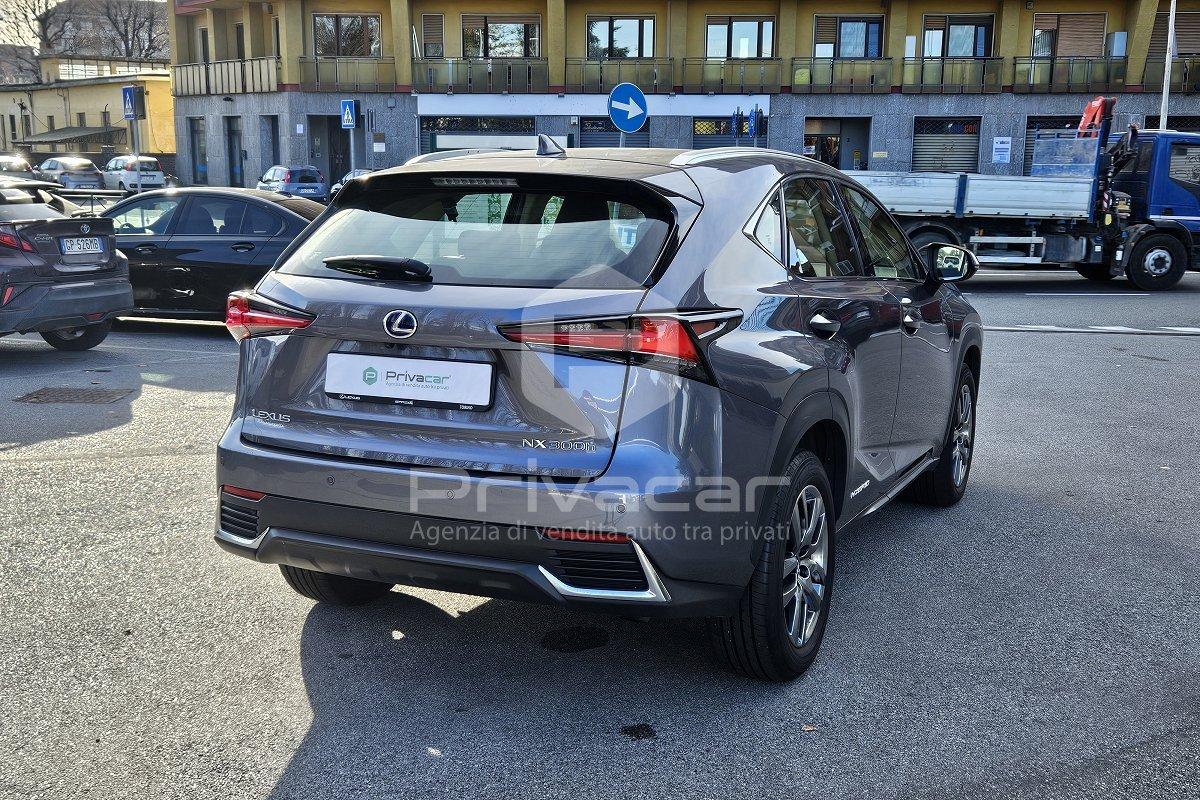 LEXUS NX Hybrid 4WD Business