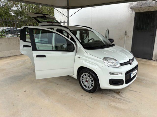 FIAT Panda 1.2 Easy EURO 6 5 POSTI OK NEOPATENTATI