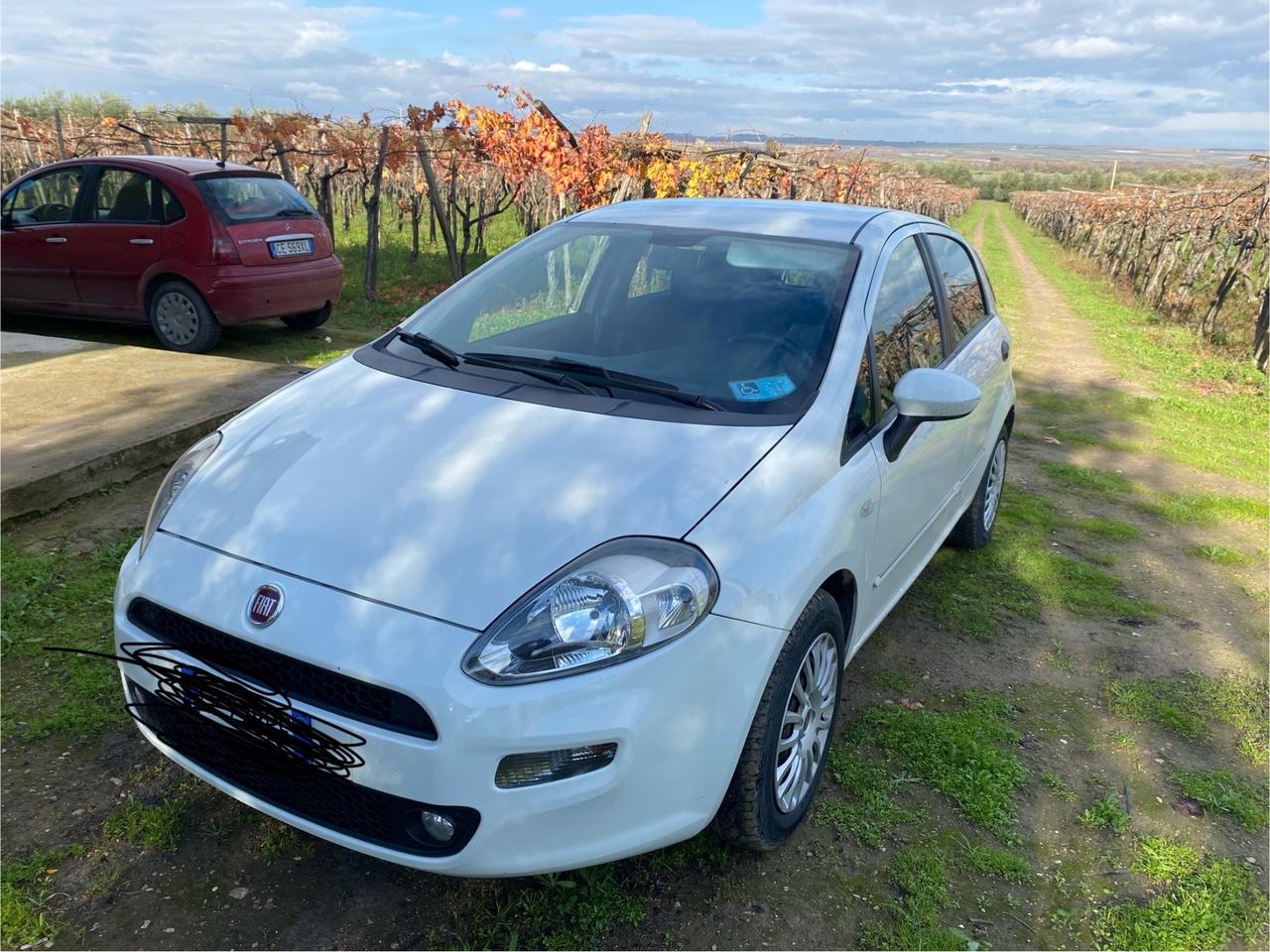 Fiat Punto 1.3 MJT II 75 CV 5 porte Pop