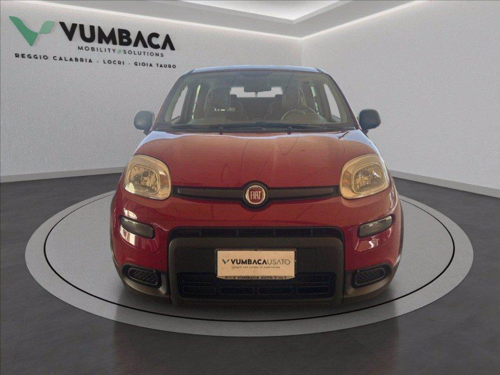 FIAT Pandina 1.0 firefly hybrid Icon s&s 70cv del 2024