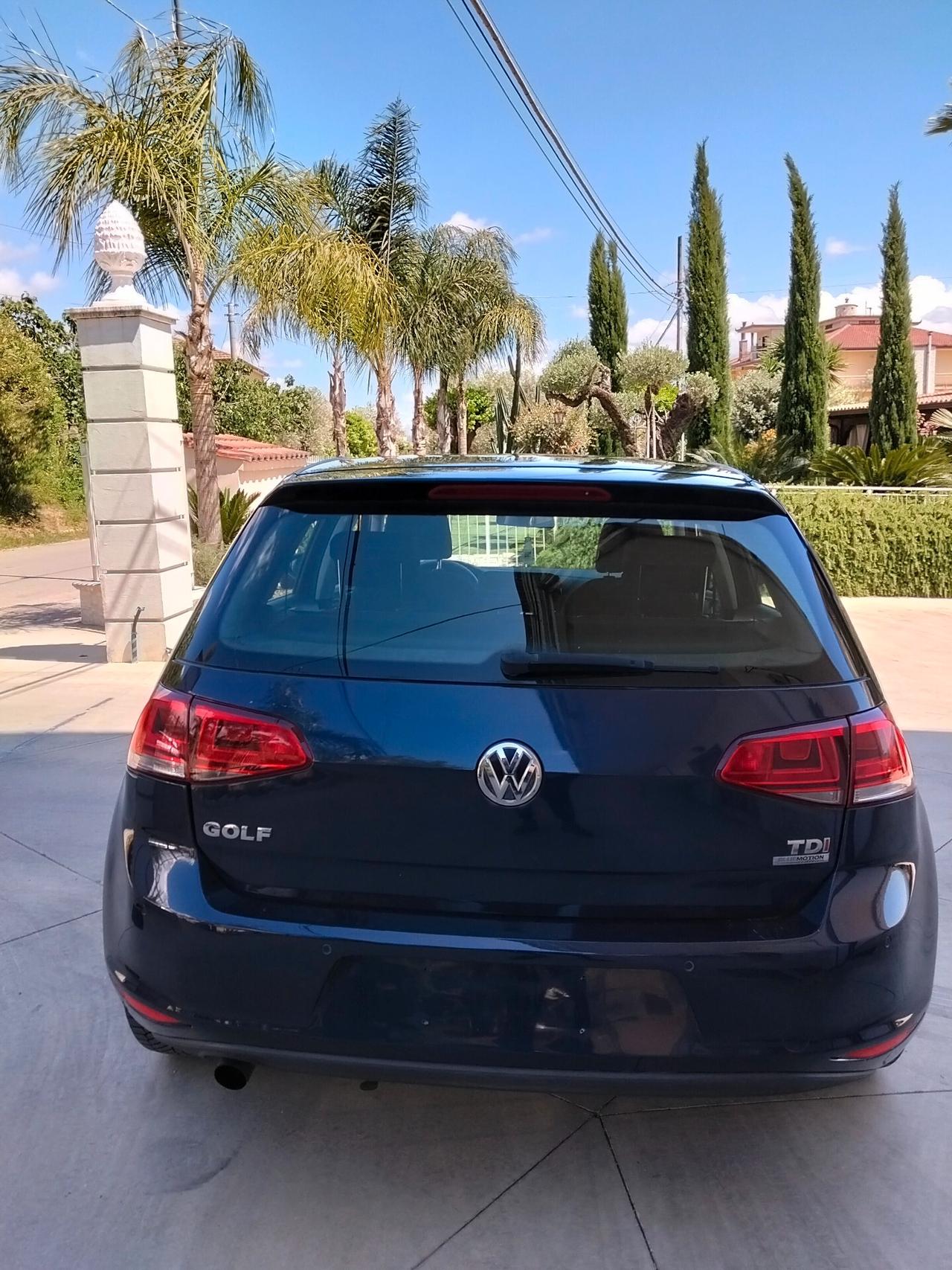 Volkswagen Golf 1.6 TDI 5p. Highline BlueMotion Technology