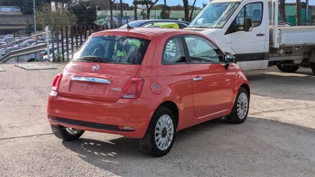 FIAT 500 HYBRID 1.0cc 70cv ANDROID/CARPLAY BLUETOOTH