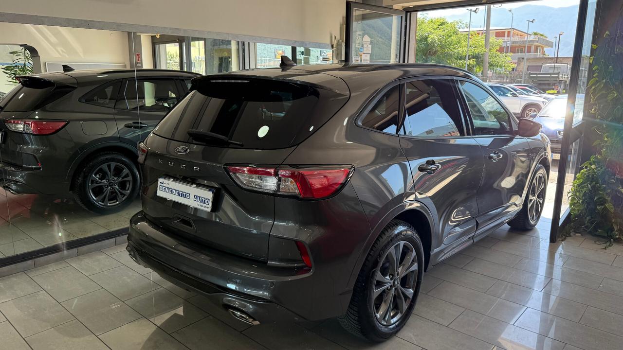 Ford Kuga 2.0 EcoBlue 120CV ST LINE