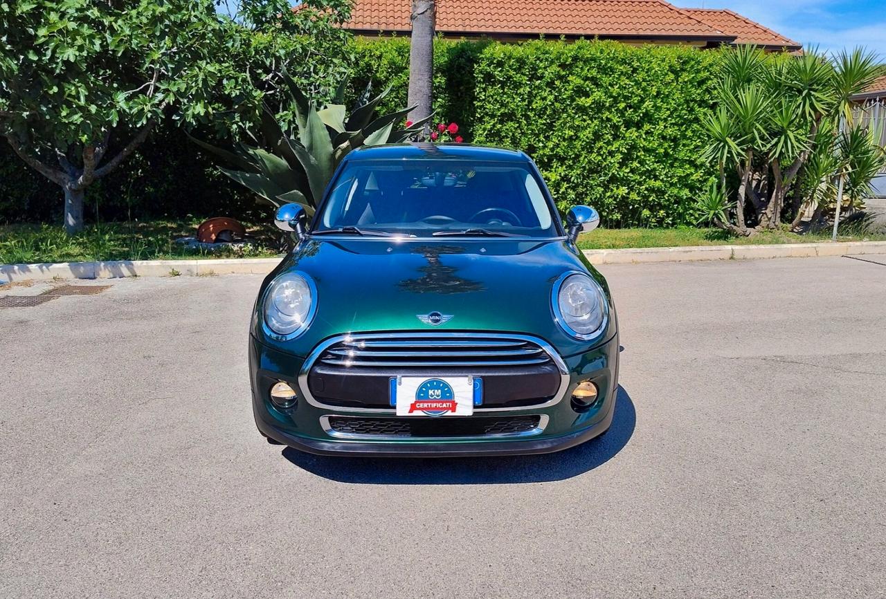 Mini Mini 1.5 One D