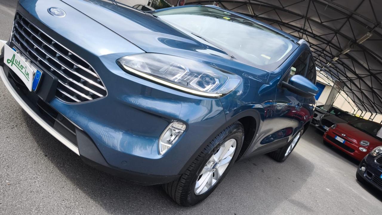Ford Kuga 1.5 EcoBlue 120 CV aut. 2WD Titanium Business