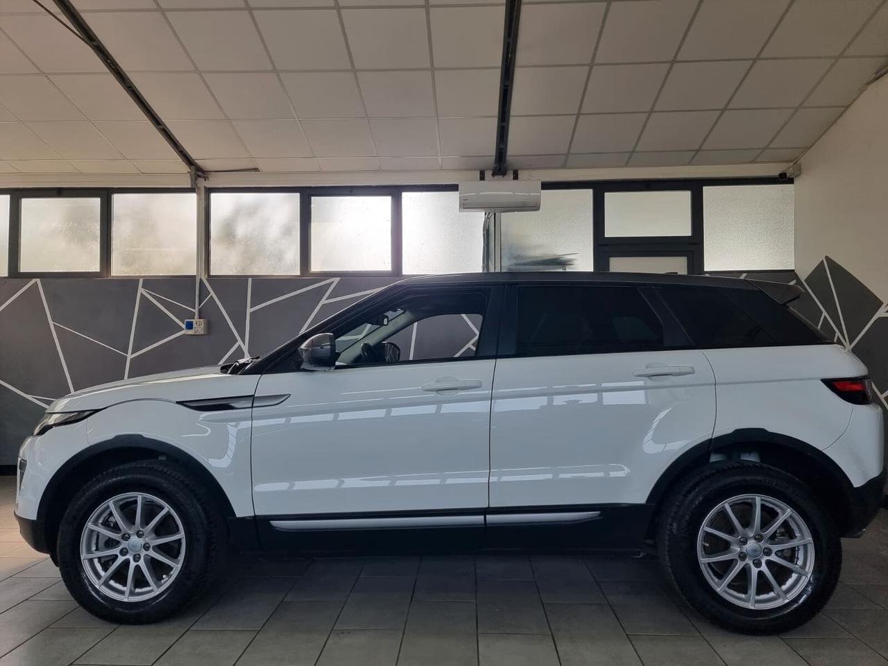 Land Rover Range Evoque 2.0 TD4 150 CV 5p. Business Edition SE