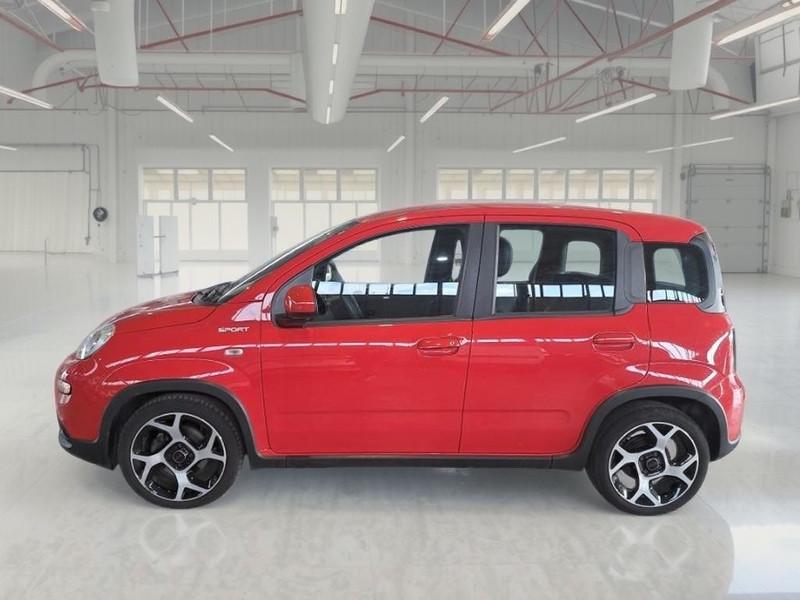 FIAT PANDA 1.0 FireFly 70cv S/S Hybrid Sport 5 PORTE